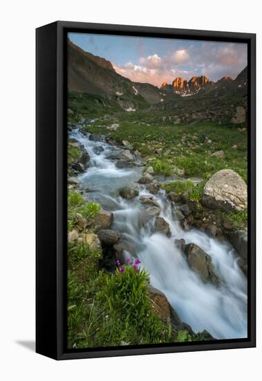 Colorado, Rocky Mountain Sunset in American Basin with Stream and Alpine Wildflowers-Judith Zimmerman-Framed Premier Image Canvas