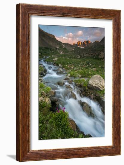 Colorado, Rocky Mountain Sunset in American Basin with Stream and Alpine Wildflowers-Judith Zimmerman-Framed Photographic Print