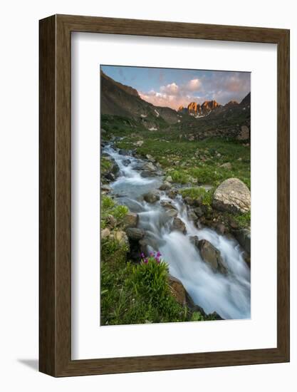 Colorado, Rocky Mountain Sunset in American Basin with Stream and Alpine Wildflowers-Judith Zimmerman-Framed Photographic Print