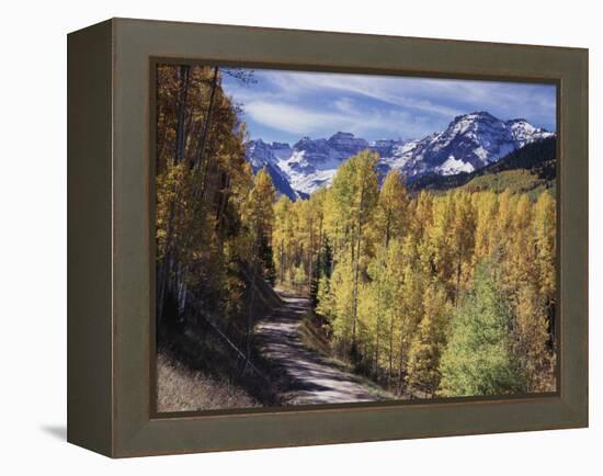 Colorado, Rocky Mountains, Dirt Road, Autumn Aspens in the Backcountry-Christopher Talbot Frank-Framed Premier Image Canvas