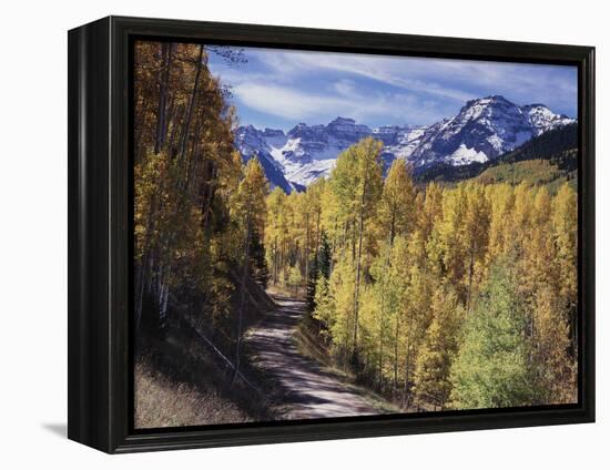 Colorado, Rocky Mountains, Dirt Road, Autumn Aspens in the Backcountry-Christopher Talbot Frank-Framed Premier Image Canvas