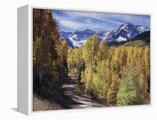 Colorado, Rocky Mountains, Dirt Road, Autumn Aspens in the Backcountry-Christopher Talbot Frank-Framed Premier Image Canvas