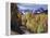 Colorado, Rocky Mountains, Dirt Road, Autumn Aspens in the Backcountry-Christopher Talbot Frank-Framed Premier Image Canvas