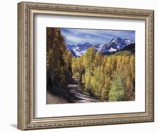 Colorado, Rocky Mountains, Dirt Road, Autumn Aspens in the Backcountry-Christopher Talbot Frank-Framed Photographic Print