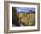 Colorado, Rocky Mountains, Dirt Road, Autumn Aspens in the Backcountry-Christopher Talbot Frank-Framed Photographic Print