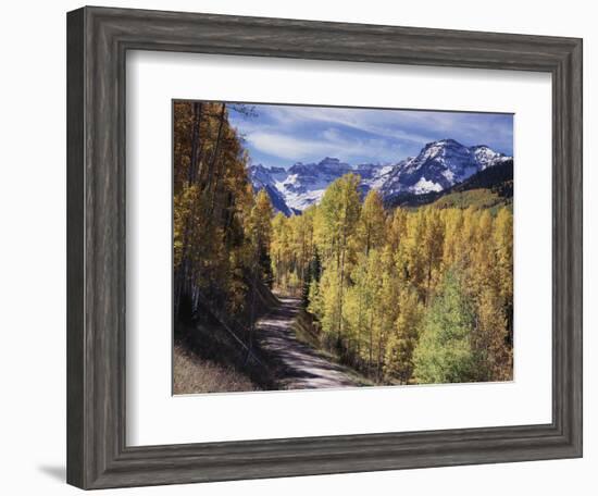 Colorado, Rocky Mountains, Dirt Road, Autumn Aspens in the Backcountry-Christopher Talbot Frank-Framed Photographic Print