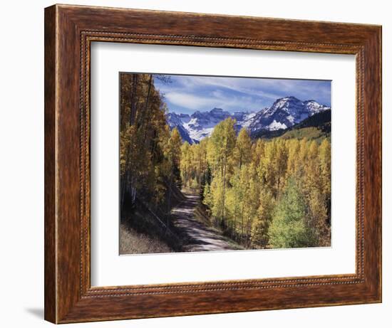 Colorado, Rocky Mountains, Dirt Road, Autumn Aspens in the Backcountry-Christopher Talbot Frank-Framed Photographic Print