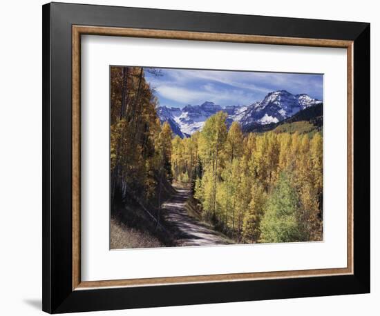 Colorado, Rocky Mountains, Dirt Road, Autumn Aspens in the Backcountry-Christopher Talbot Frank-Framed Photographic Print