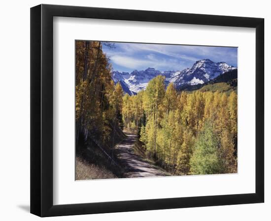 Colorado, Rocky Mountains, Dirt Road, Autumn Aspens in the Backcountry-Christopher Talbot Frank-Framed Photographic Print