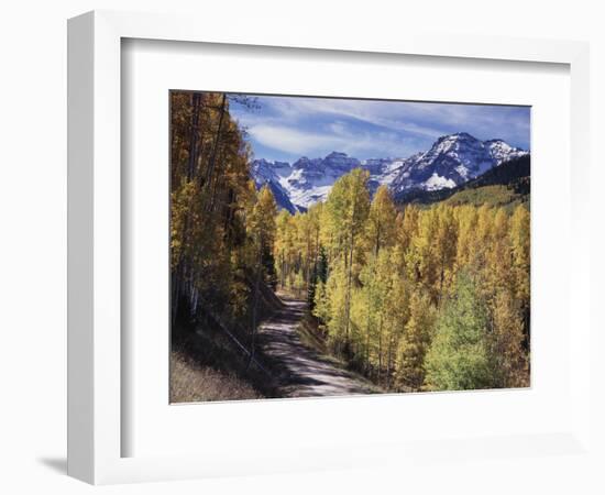 Colorado, Rocky Mountains, Dirt Road, Autumn Aspens in the Backcountry-Christopher Talbot Frank-Framed Photographic Print