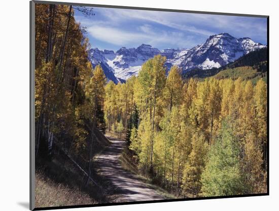 Colorado, Rocky Mountains, Dirt Road, Autumn Aspens in the Backcountry-Christopher Talbot Frank-Mounted Photographic Print