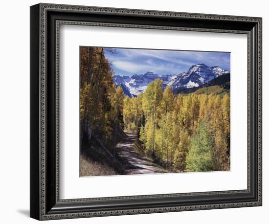 Colorado, Rocky Mountains, Dirt Road, Autumn Aspens in the Backcountry-Christopher Talbot Frank-Framed Photographic Print