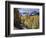 Colorado, Rocky Mountains, Dirt Road, Autumn Aspens in the Backcountry-Christopher Talbot Frank-Framed Photographic Print