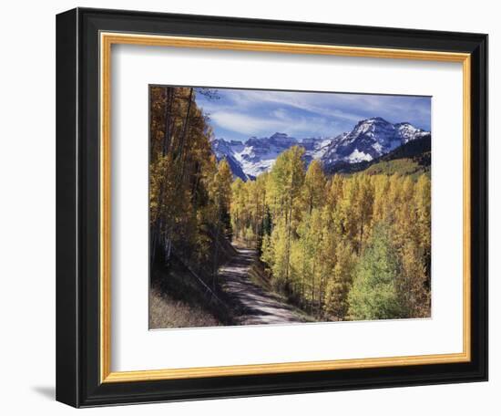 Colorado, Rocky Mountains, Dirt Road, Autumn Aspens in the Backcountry-Christopher Talbot Frank-Framed Photographic Print