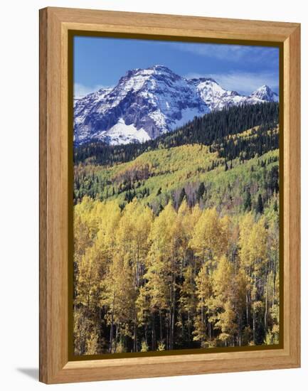 Colorado, Rocky Mts, Aspen Trees Below a Mountain Peak in Fall-Christopher Talbot Frank-Framed Premier Image Canvas