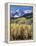 Colorado, Rocky Mts, Aspen Trees Below a Mountain Peak in Fall-Christopher Talbot Frank-Framed Premier Image Canvas