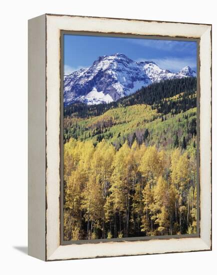 Colorado, Rocky Mts, Aspen Trees Below a Mountain Peak in Fall-Christopher Talbot Frank-Framed Premier Image Canvas