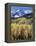 Colorado, Rocky Mts, Aspen Trees Below a Mountain Peak in Fall-Christopher Talbot Frank-Framed Premier Image Canvas
