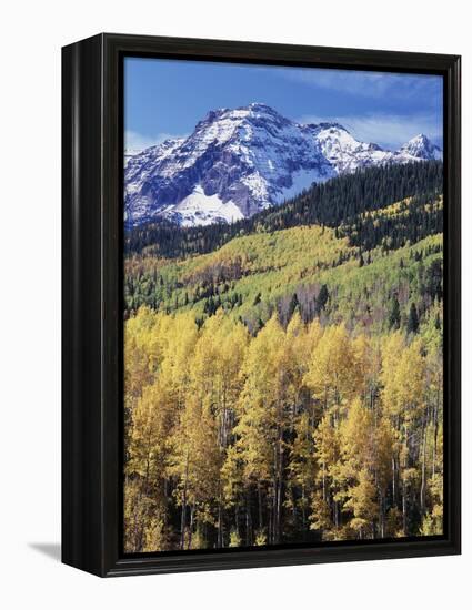 Colorado, Rocky Mts, Aspen Trees Below a Mountain Peak in Fall-Christopher Talbot Frank-Framed Premier Image Canvas