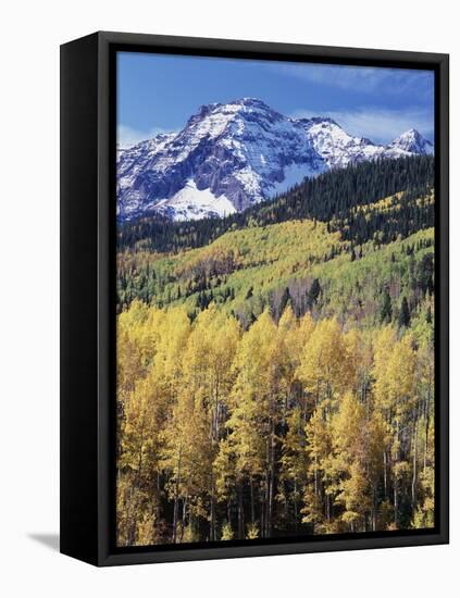 Colorado, Rocky Mts, Aspen Trees Below a Mountain Peak in Fall-Christopher Talbot Frank-Framed Premier Image Canvas