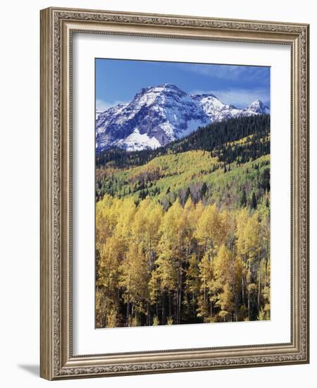 Colorado, Rocky Mts, Aspen Trees Below a Mountain Peak in Fall-Christopher Talbot Frank-Framed Photographic Print