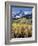 Colorado, Rocky Mts, Aspen Trees Below a Mountain Peak in Fall-Christopher Talbot Frank-Framed Photographic Print