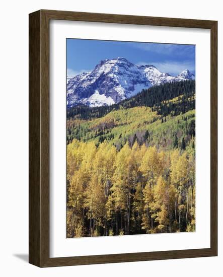 Colorado, Rocky Mts, Aspen Trees Below a Mountain Peak in Fall-Christopher Talbot Frank-Framed Photographic Print