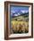 Colorado, Rocky Mts, Aspen Trees Below a Mountain Peak in Fall-Christopher Talbot Frank-Framed Photographic Print