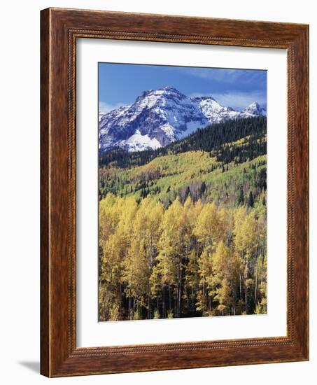 Colorado, Rocky Mts, Aspen Trees Below a Mountain Peak in Fall-Christopher Talbot Frank-Framed Photographic Print