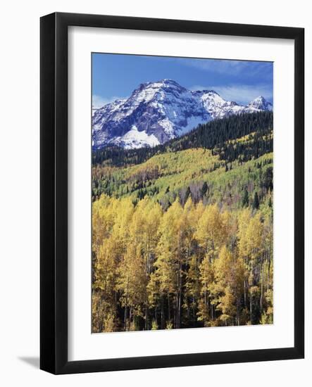 Colorado, Rocky Mts, Aspen Trees Below a Mountain Peak in Fall-Christopher Talbot Frank-Framed Photographic Print