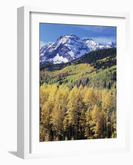 Colorado, Rocky Mts, Aspen Trees Below a Mountain Peak in Fall-Christopher Talbot Frank-Framed Photographic Print