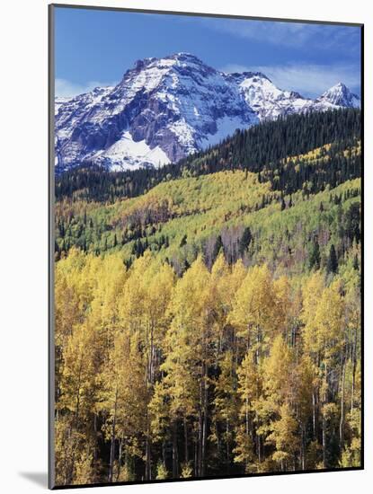 Colorado, Rocky Mts, Aspen Trees Below a Mountain Peak in Fall-Christopher Talbot Frank-Mounted Photographic Print