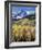 Colorado, Rocky Mts, Aspen Trees Below a Mountain Peak in Fall-Christopher Talbot Frank-Framed Photographic Print