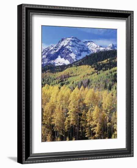 Colorado, Rocky Mts, Aspen Trees Below a Mountain Peak in Fall-Christopher Talbot Frank-Framed Photographic Print