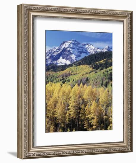 Colorado, Rocky Mts, Aspen Trees Below a Mountain Peak in Fall-Christopher Talbot Frank-Framed Photographic Print