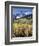 Colorado, Rocky Mts, Aspen Trees Below a Mountain Peak in Fall-Christopher Talbot Frank-Framed Photographic Print