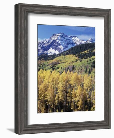 Colorado, Rocky Mts, Aspen Trees Below a Mountain Peak in Fall-Christopher Talbot Frank-Framed Photographic Print