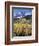 Colorado, Rocky Mts, Aspen Trees Below a Mountain Peak in Fall-Christopher Talbot Frank-Framed Photographic Print