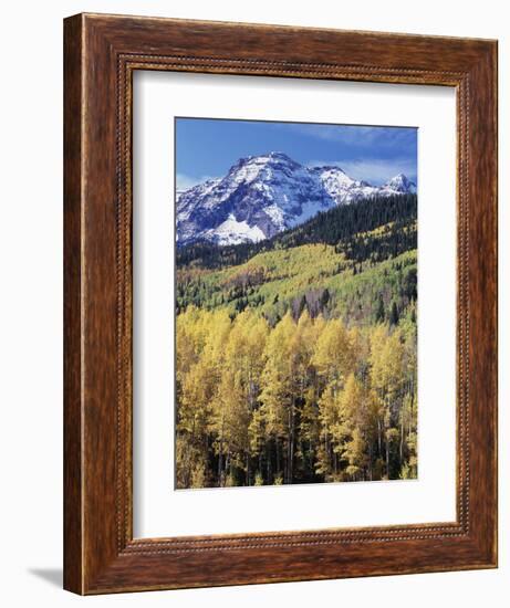 Colorado, Rocky Mts, Aspen Trees Below a Mountain Peak in Fall-Christopher Talbot Frank-Framed Photographic Print