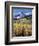 Colorado, Rocky Mts, Aspen Trees Below a Mountain Peak in Fall-Christopher Talbot Frank-Framed Photographic Print