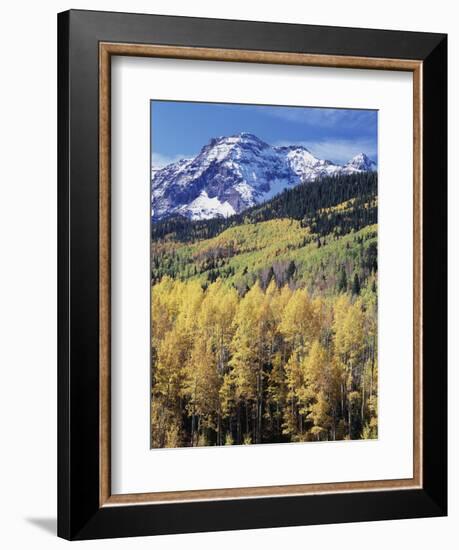 Colorado, Rocky Mts, Aspen Trees Below a Mountain Peak in Fall-Christopher Talbot Frank-Framed Photographic Print