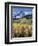 Colorado, Rocky Mts, Aspen Trees Below a Mountain Peak in Fall-Christopher Talbot Frank-Framed Photographic Print