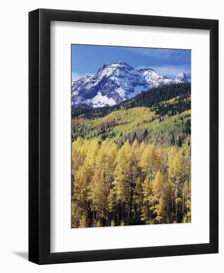 Colorado, Rocky Mts, Aspen Trees Below a Mountain Peak in Fall-Christopher Talbot Frank-Framed Photographic Print