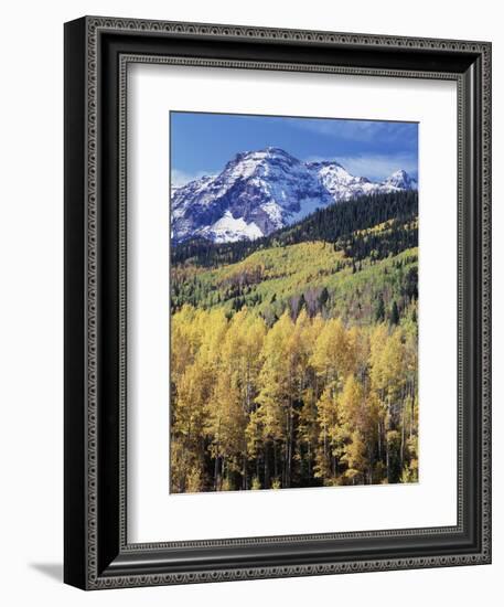 Colorado, Rocky Mts, Aspen Trees Below a Mountain Peak in Fall-Christopher Talbot Frank-Framed Photographic Print