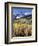 Colorado, Rocky Mts, Aspen Trees Below a Mountain Peak in Fall-Christopher Talbot Frank-Framed Photographic Print