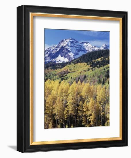 Colorado, Rocky Mts, Aspen Trees Below a Mountain Peak in Fall-Christopher Talbot Frank-Framed Photographic Print