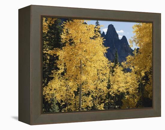 Colorado, Rocky Mts, Uncompahgre Nf. Fall Colors of Aspen Trees-Christopher Talbot Frank-Framed Premier Image Canvas