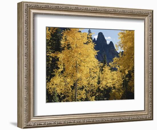 Colorado, Rocky Mts, Uncompahgre Nf. Fall Colors of Aspen Trees-Christopher Talbot Frank-Framed Photographic Print