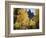 Colorado, Rocky Mts, Uncompahgre Nf. Fall Colors of Aspen Trees-Christopher Talbot Frank-Framed Photographic Print