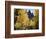 Colorado, Rocky Mts, Uncompahgre Nf. Fall Colors of Aspen Trees-Christopher Talbot Frank-Framed Photographic Print